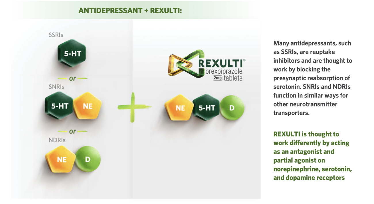 Pharmacodynamic profile